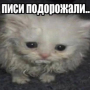 Аватар пользователя Skolfi