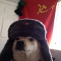 Аватар пользователя Kenguru