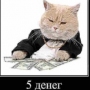 Аватар пользователя Negrilla
