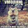 Аватар пользователя ogloaded