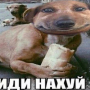 Аватар пользователя bishopzzz