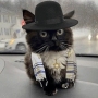 Аватар пользователя Чмоня