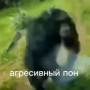 Аватар пользователя agressivni1pon