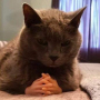 Аватар пользователя Alfonso