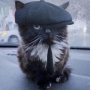 Аватар пользователя LlllllllL