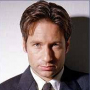 Аватар пользователя FoxMulder