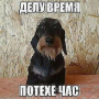 Аватар пользователя ananim322