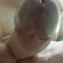 Аватар пользователя Dim18cm