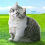 Аватар пользователя GoodG