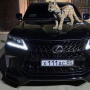 Аватар пользователя Sher199