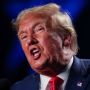 Аватар пользователя DonaldTrump2025
