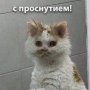Аватар пользователя posleVKUSIE2