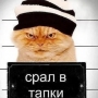 Аватар пользователя qwerty0912