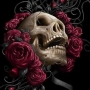 Аватар пользователя Bones7