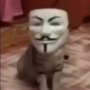 Аватар пользователя GOLDAFER