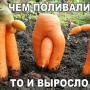 Аватар пользователя Drozhun