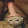 Аватар пользователя MickOFF
